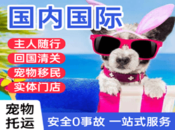龙嘉机场快运国际宠物托运 【国
