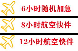 龙嘉机场快运快递公司,专业空运当天件